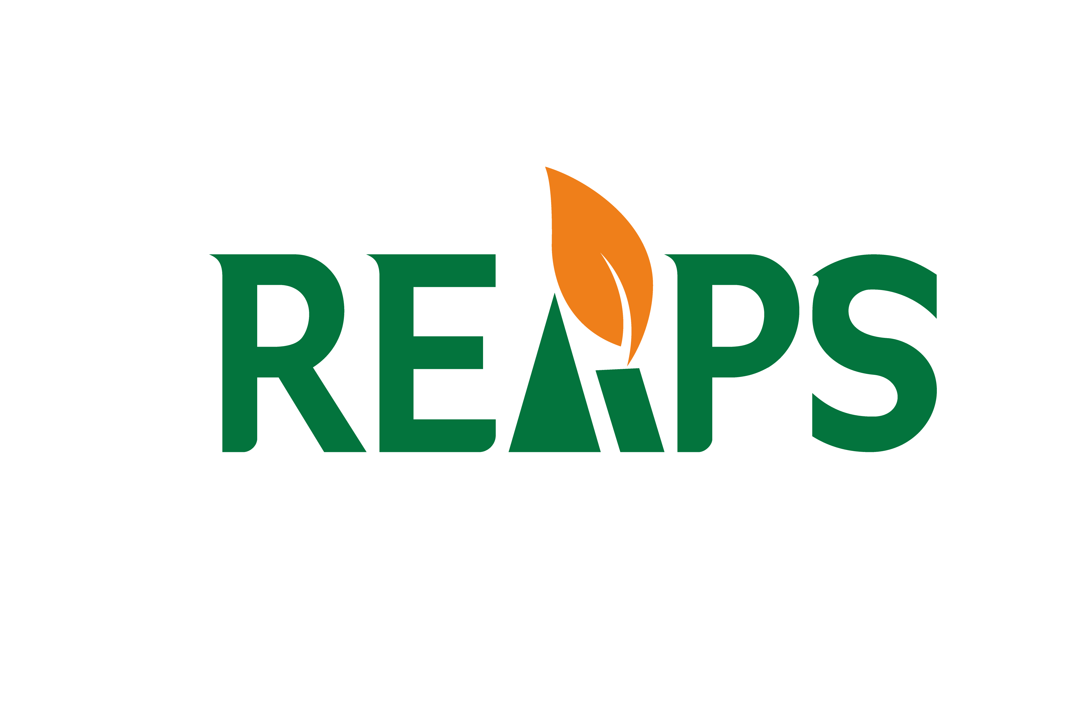 【REAPS瑞普斯人事变动公告】