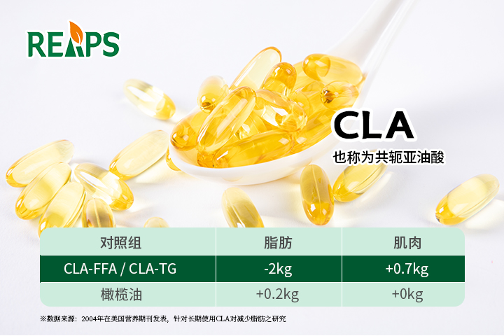 减肥排毒保健品代理批发厂家