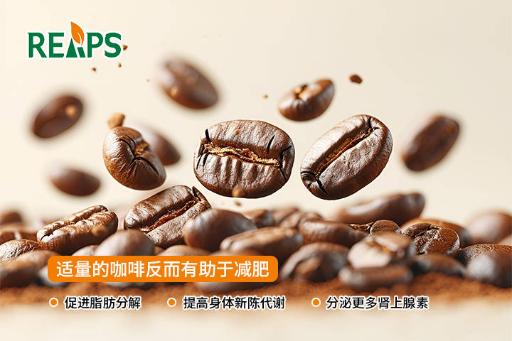 瑞普斯承接绿茶粉原料营养品OEM贴牌代加工 